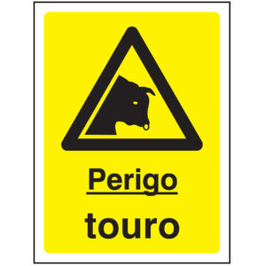 SINAL DE PERIGO - TOURO (G646) - Perigo - Sinalização